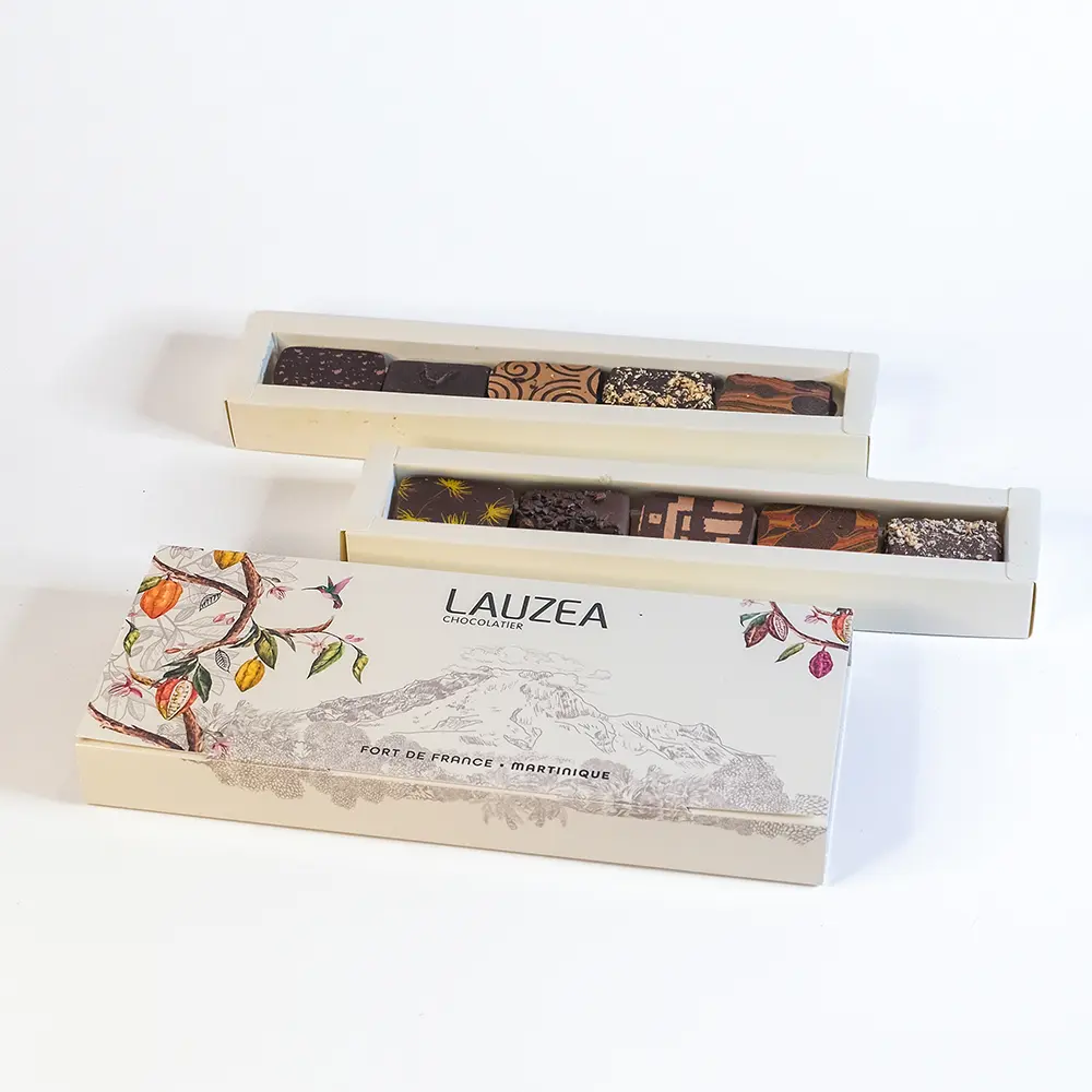 ÉCRIN 10 CHOCOLATS (ou 16 petites découpes)